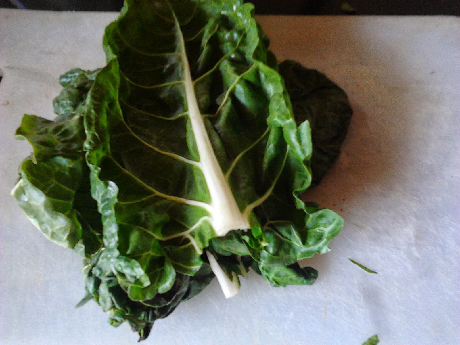 Dieta del genotipo nomade